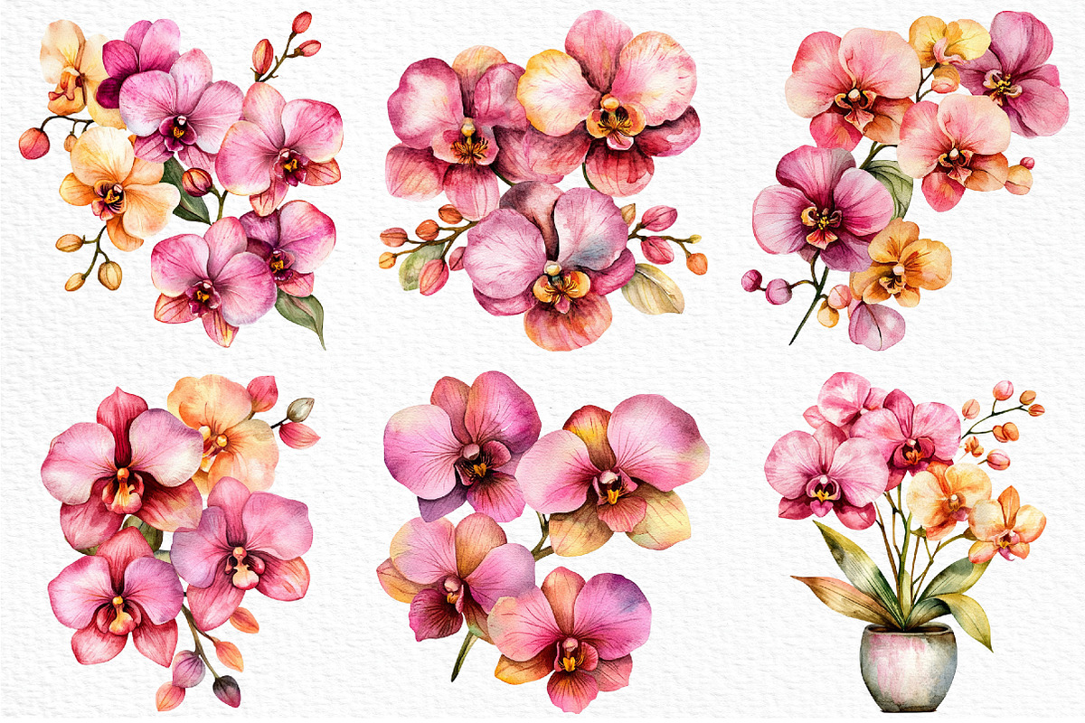Watercolor Pink Orchid Clipart, an Illustration by Craft Nest (Photo 5 of 12)