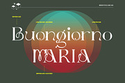 Dellucion, a Serif Font by Burntilldead (Thumbnail 6 of 13)