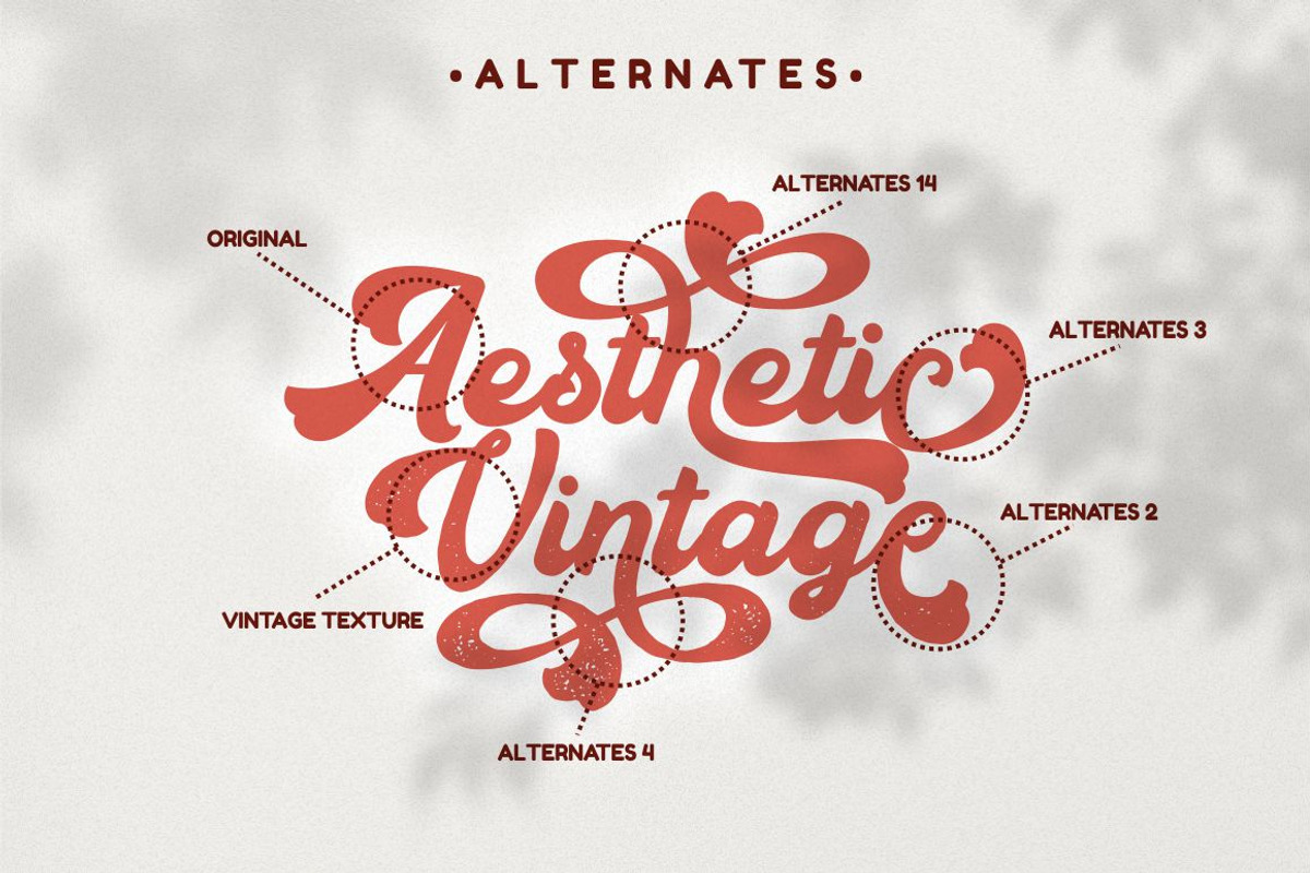 Aesthetic Vintage - Bold Vintage, a Script Font by PutraCetol Studio (Photo 5 of 11)