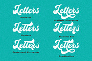 Blacklight Script, a Script Font by HKL Studio (Thumbnail 3 of 14)