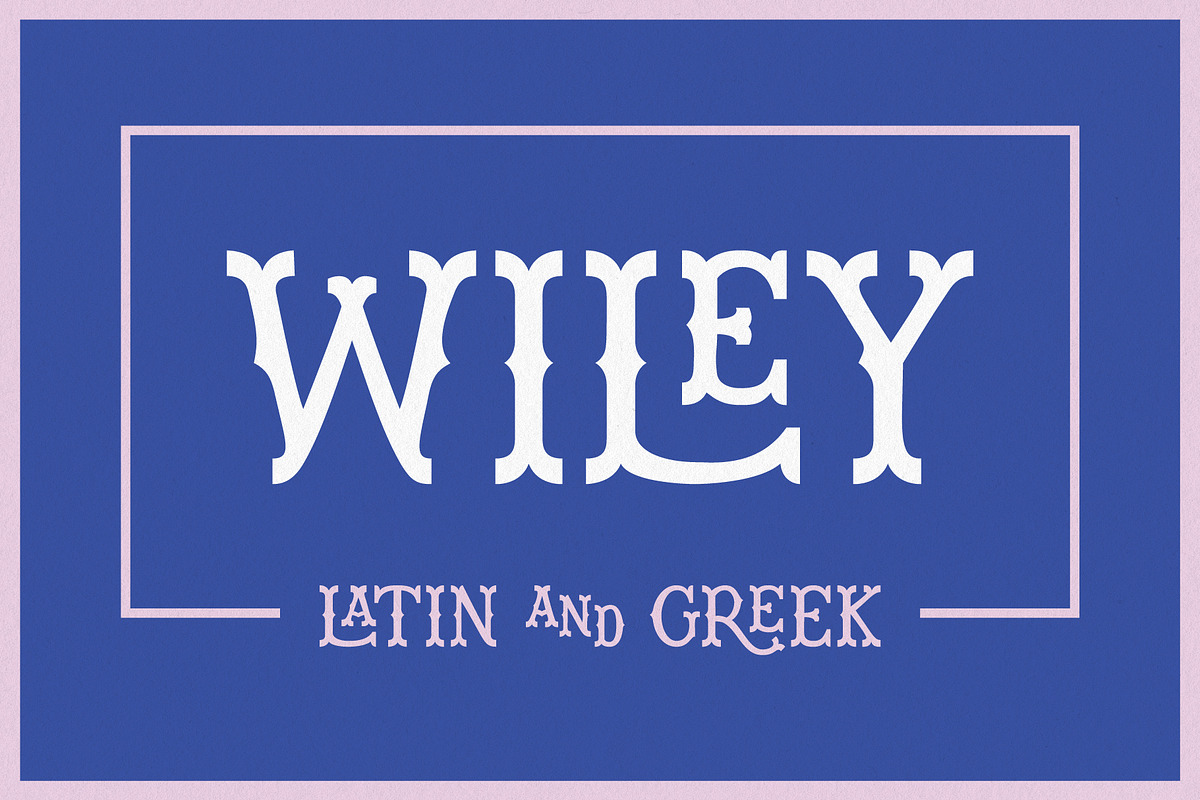 Wiley Decorative Latin & Greek Font, a Slab Serif Font by Molly Suber Thorpe (Photo 1 of 16)