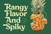 Milan Wulko Alternate Bold Serif, a Serif Font by timelesstype.co (Thumbnail 10 of 20)