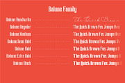 Balune Family Font, a Sans Serif Font by AuthenType (Thumbnail 6 of 10)