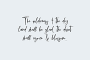 Sierra Gorge Script, a Script Font by Beck McCormick (Thumbnail 2 of 10)