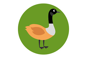 Canadian Duck Scene Icon