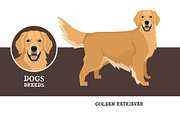 Dog breeds Golden Retriever, an Animal Illustration by Nenilkime (Thumbnail 1 of 3)