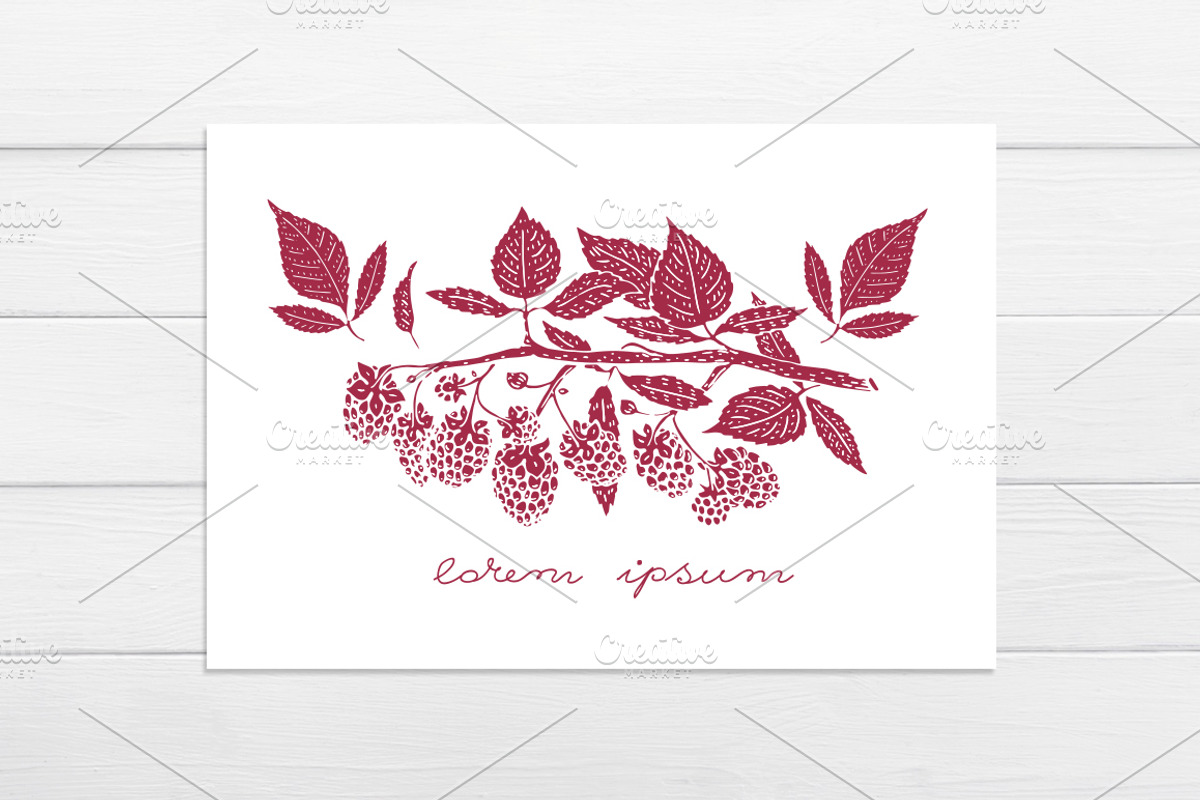 Raspberry Vector Collection, a Food Illustration by Lubov Illustrations Shop (Photo 5 of 5)