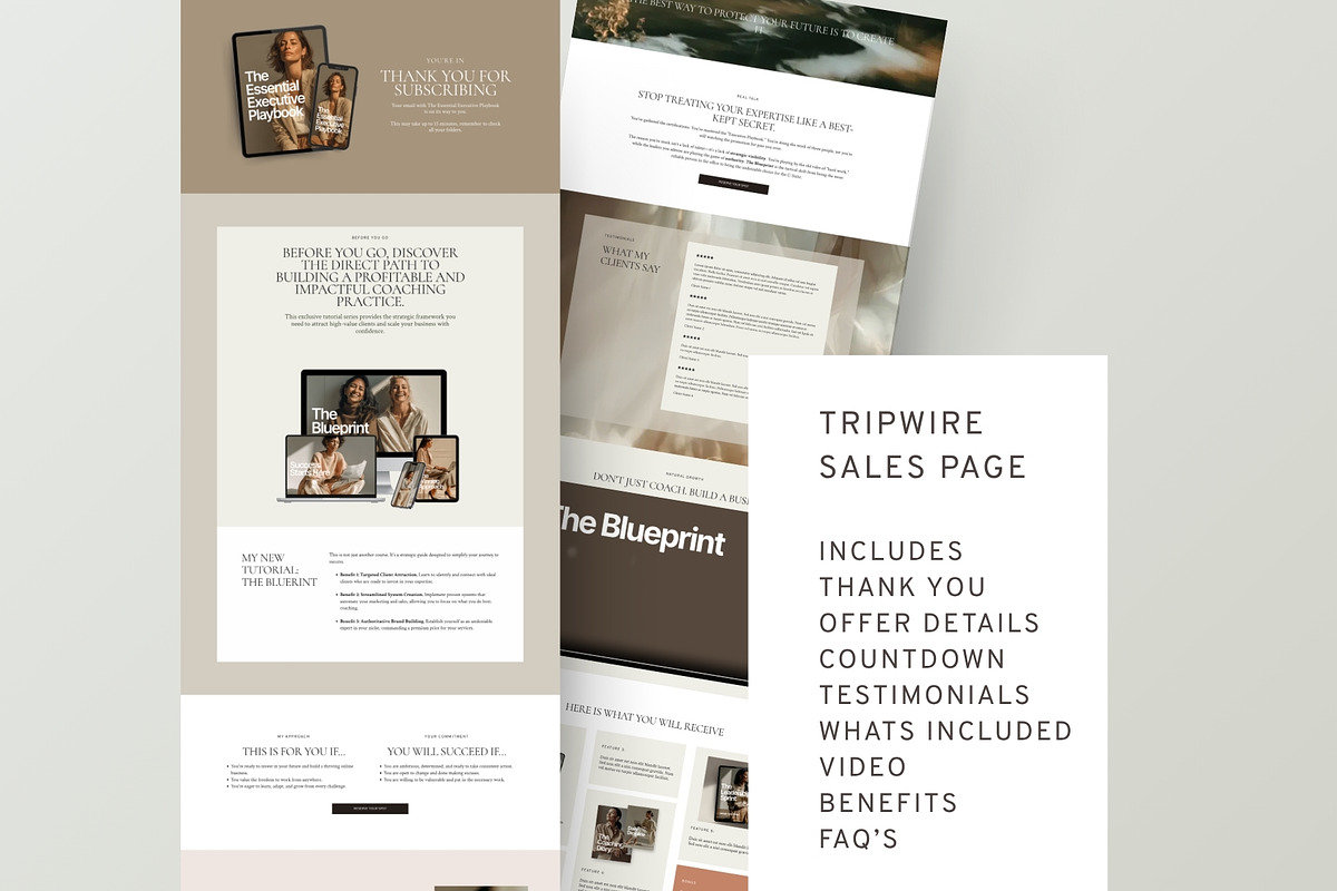 Systeme.io Business Foundation Kit, an UI Kit Template by Alter Edit (Photo 8 of 17)