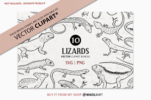 Lizard Procreate Brush Stamps