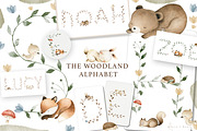 The Woodland Alphabet, an Animal Illustration by Flora+Bear (Thumbnail 1 of 16)