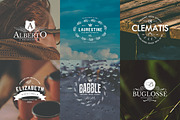 Vintage Logos & Badges Set 4, a Branding & Logo Template by Graphicdome (Thumbnail 5 of 5)