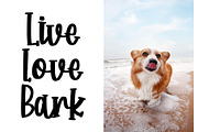 Corgi Puppy - Handwritten Font, a Font by Dm Studio (Thumbnail 4 of 6)