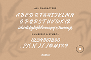 Anattone - Modern Script Font, a Script Font by Lettermine (Thumbnail 7 of 9)