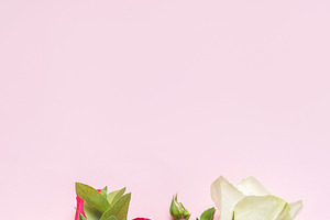 Colorful rose bouquet creating romantic floral background, a Holiday Photo by Olena Rudo