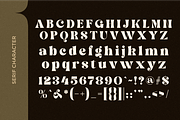 Thearopy - Font Duo Typeface, a Serif Font by MaikoHatta (Thumbnail 3 of 8)