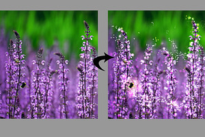 Fairy Dust PHOTOSHOP Sparkle Brushes