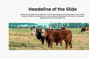 Slide Deck Collection – Photoshop Pr, a Presentation Template by Elite Mockups (Thumbnail 5 of 11)