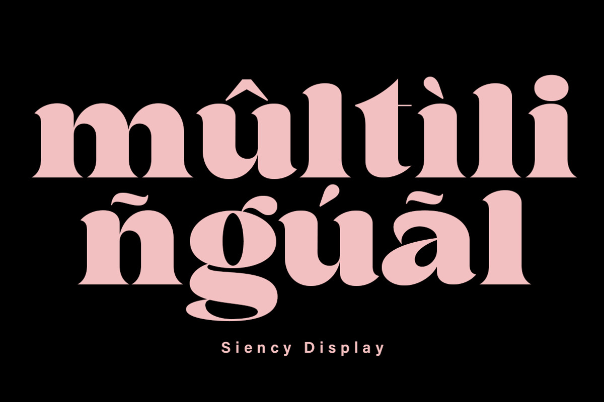 Siency Display, a Serif Font by InkwellTypeCo (Photo 7 of 11)