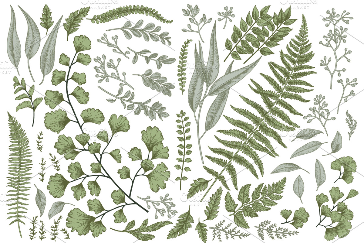 Botanical cards. Set with leaves., a Graphic by Lisla (Photo 3 of 4)