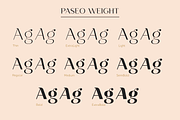 Paseo, a Sans Serif Font by Larin Type Co. (Thumbnail 8 of 15)