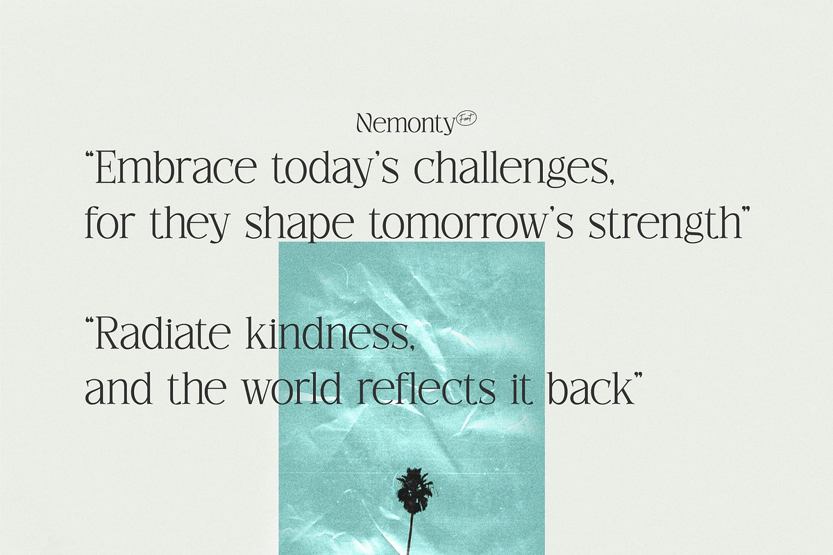 Nemonty - Minimalist Font, a Serif Font by Salamahtype (Photo 5 of 9)
