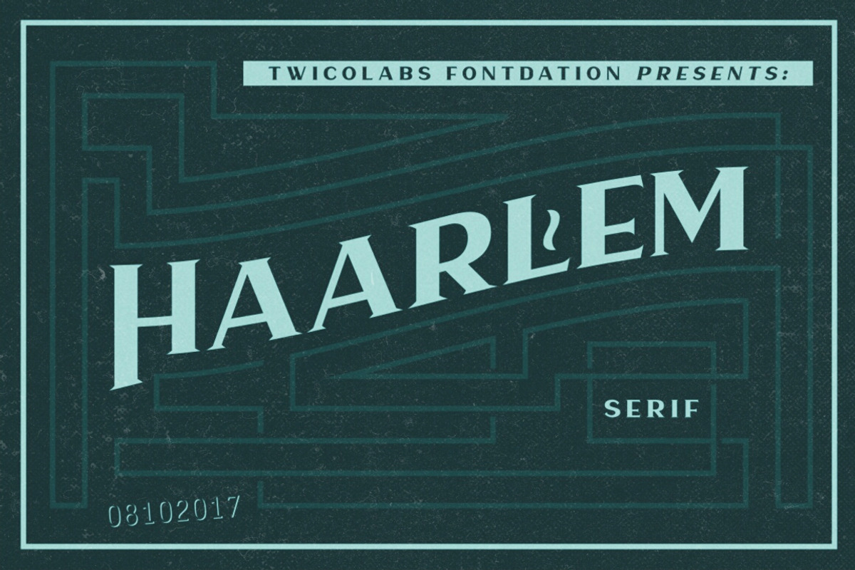 Haarlem Serif, a Serif Font by Twicolabs Fontdation (Photo 2 of 8)