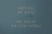 Probity - Creative serif font + more, a Serif Font by VP Fonts (Thumbnail 3 of 22)