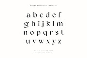 Bagtha Mendoneh Ligature Serif, a Serif Font by Cruzine (Thumbnail 5 of 9)