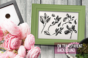 Magnolia in engraving style. Part 2, a Decorative Illustration by Alena Kaz (Thumbnail 3 of 5)