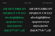 Eryndor, a Serif Font by Typehill (Thumbnail 7 of 13)