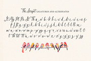 The Secret Garden Font Duo, a Script Font by Nicky Laatz (Thumbnail 28 of 29)