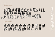 Vintage font, a Serif Font by Anna Zakharchenko (Thumbnail 18 of 20)
