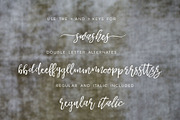 Another Wild Modern Brush Script, a Script Font by INKMETHIS (Thumbnail 3 of 7)