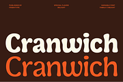 Cranwich — Playful Groovy Serif, a Serif Font by Fridaytype (Thumbnail 1 of 12)