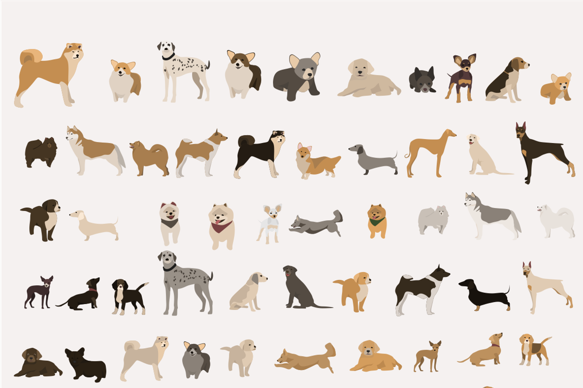 dogs and cats, favorite pets, an Animal Illustration by Yana_mide (Photo 5 of 7)