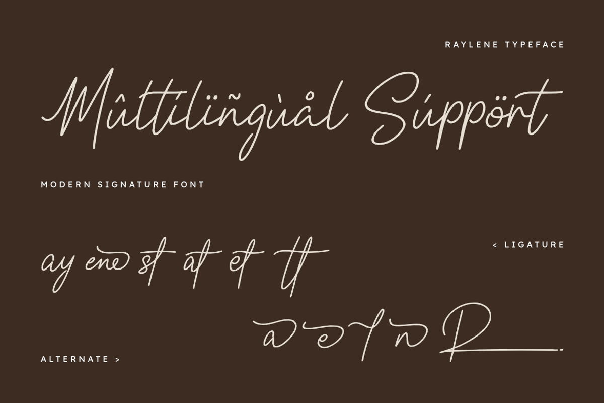 Raylene — Modern Signature Font, a Handwritten Font by Masyafi Studio (Photo 3 of 8)