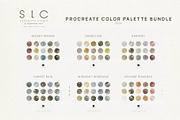 17 Procreate Color Palette - BUNDLE, a Palette Add-On by slowlivecreate (Thumbnail 5 of 7)