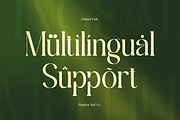 Zentura - Luxury Serif Font, a Serif Font by Flawless And Co (Thumbnail 10 of 10)