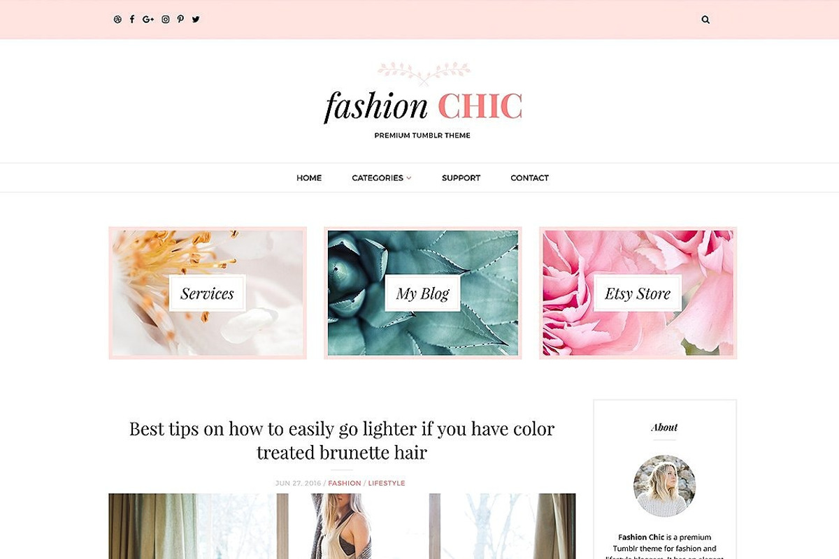 Ultimate WordPress Bundle (Save 97%), a WordPress Template by Theme Junkie (Photo 5 of 7)