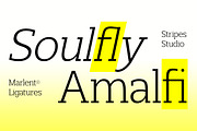 Marlent Variable, a Slab Serif Font by Stripes Studio (Thumbnail 14 of 15)