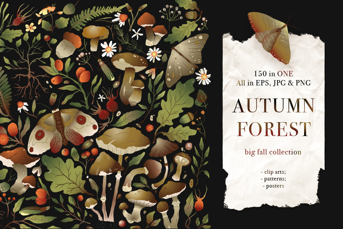 Autumn Forest. Big Graphic Set., a Decorative Illustration by Red Ink (Photo 1 of 10)