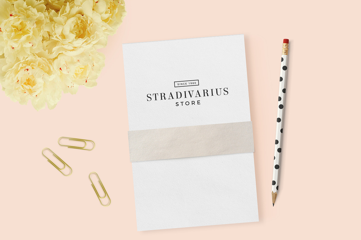 250 Minimal Logo Bundle, a Branding & Logo Template by MinimalStudioCo (Photo 6 of 10)