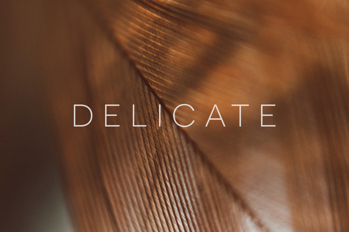 Delicate | 20 Feather Photos, a Nature Photo by Melanie Helena (Photo 14 of 20)