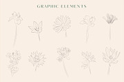 Line Art Floral Graphic Elements, a Decorative Illustration by CL Creative Studio (Thumbnail 3 of 11)