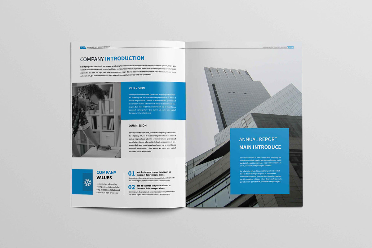 Annual Report Brochure, a Brochure Template by New Lines (Photo 3 of 13)