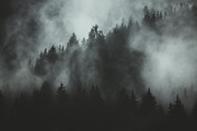 Moody Lightroom Presets - Soft Light, an Action Add-On by PhotoMarket (Thumbnail 8 of 33)