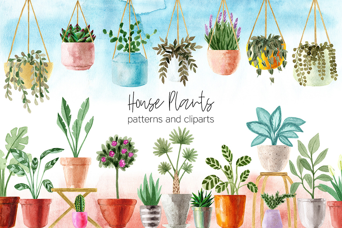 Watercolor House Plant. Urban Jungle, a Decorative Illustration by Slastick (Photo 1 of 5)