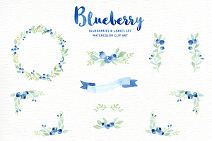 Blueberry Watercolor Clipart