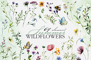 Watercolor set of wildflowers, an Illustration by RushkinaAntonina (Thumbnail 6 of 8)