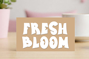 Student Party, a Script Font by InermediaSTUDIO (Thumbnail 2 of 7)